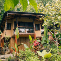 Bungalow Front